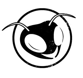 Planet Ant Celebrates 25 Years with Ant-iversary Show Image