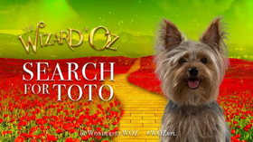 Selladoor Productions is on the Search For Toto  Image