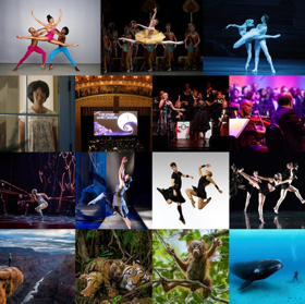 Auditorium Theatre Announces 2019-20 Season Image