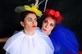 SASOLBURG COMMON 'BIRDS' OF SOUTH AFRICA Comes to The Drama Factory Image