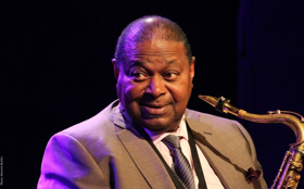 Apollo Theater to Present SAY IT LOUD - I'M BLACK AND I'M PROUD AT 50 Image