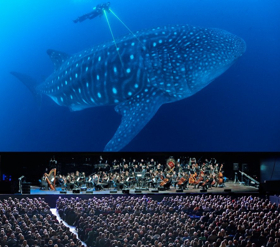 The City of Prague Philharmonic Orchestra to Provide Live Accompaniment to BLUE PLANET II - LIVE IN CONCERT 