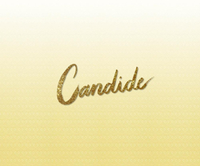 Ryan Silverman and Bryonha Marie Parham Join Candide at Carnegie Hall Image