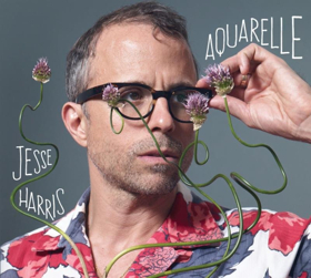 Jesse Harris Premieres New Video For WHERE A ROSE FALLS Image
