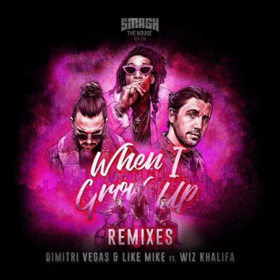 Dimitri Vegas & Like Mike's WHEN I GROW UP Gets Fresh Perspective With Remix Package Image
