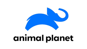 Animal Planet Presents New Series THE AQUARIUM 