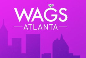 The Ladies of WAGS ATANTA Bring Southern Charm When New Series Debuts on E! Today  Image