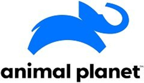 Animal Planet Launches New Global Brand Identity 