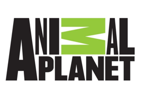MONSTER WEEK 2018 Returns to Animal Planet Memorial Day Weekend Image