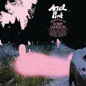 Ariel Pink Releases New Album ' Dedicated to Bobby Jameson' 