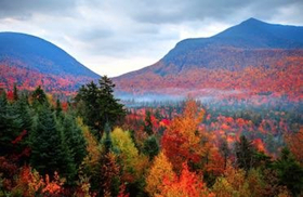 PBS and BBC Announce AUTUMNWATCH - NEW ENGLAND Image