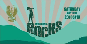 Mike Peters' Love Hope Strength Foundation Partners With Zip World for Festivals Image