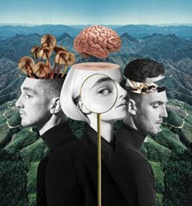 Clean Bandit Release New Album 'What Is Love?' Image