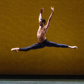 Conductor Charles Dutoit and Principle Dancer Marcelo Gomes Accused of Sexual Misconduct Image