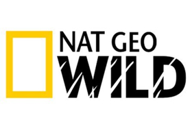 National Geographic WILD and Sun Valley Film Festival Launch Sixth Annual WILD Image