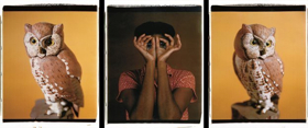 Gallery Wendi Norris presents MARIA MAGDALENA CAMPOS-PONS If I Were a Poet Image