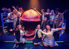 Review: Little Shop of Horrors, Cumbernauld Theatre Image