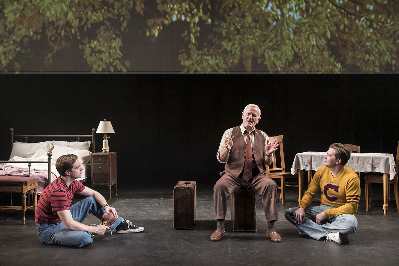 Review: DEATH OF A SALESMAN at Ensemble Theatre Company Image