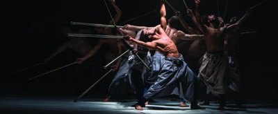 VIDEO: NY City Center Announces Lineup for 15th Fall for Dance Festival 
