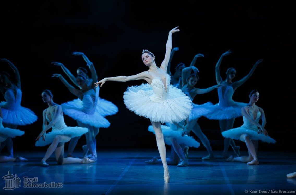 SWAN LAKE Comes To Estonian National Opera This Month  Image