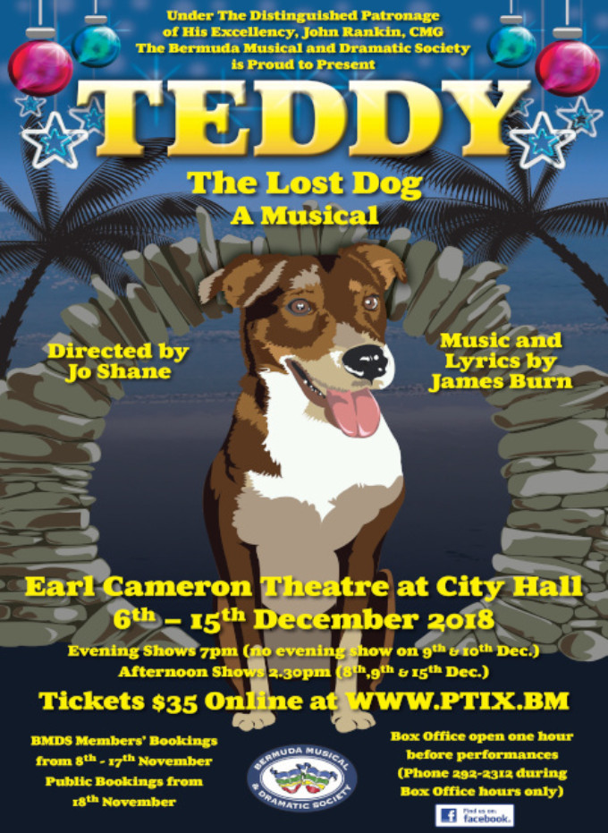 TEDDY THE LOST DOG Currently Playing at Earl Cameron Theatre at City Hall in Bermuda 