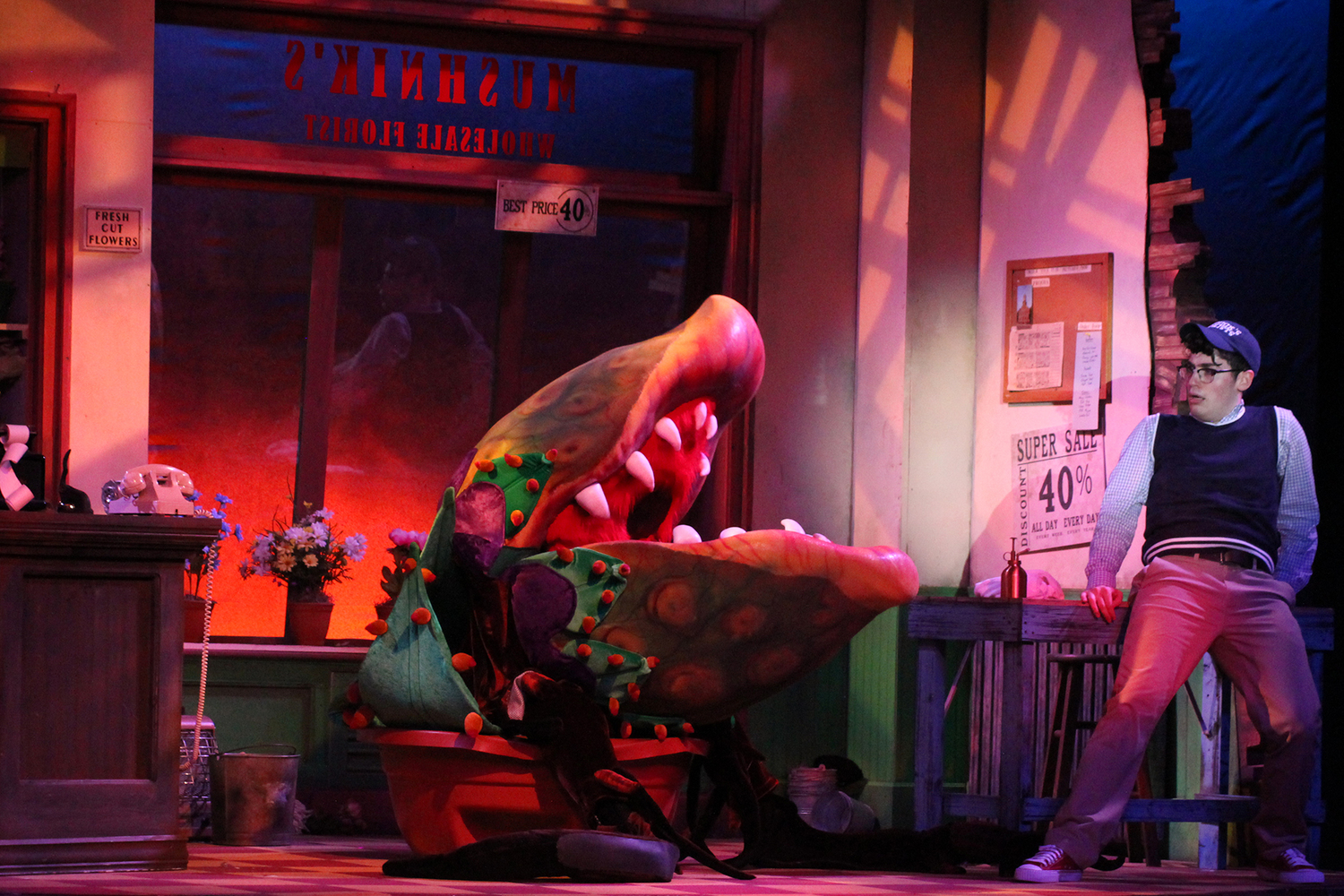 Review: LITTLE SHOP OF HORRORS at Broadway Palm is Delightfully Devious! Image