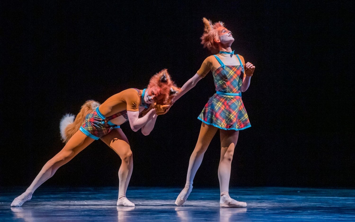 Review: THE CUNNING LITTLE VIXEN/THE TWO PIGEONS, Royal Opera House Image