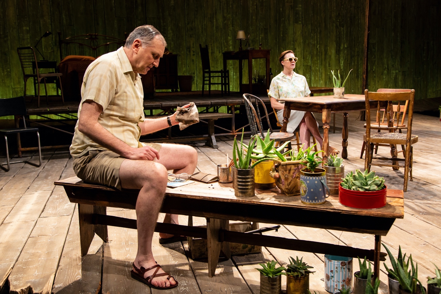 Review: A LESSON FROM ALOES at Hartford Stage Image