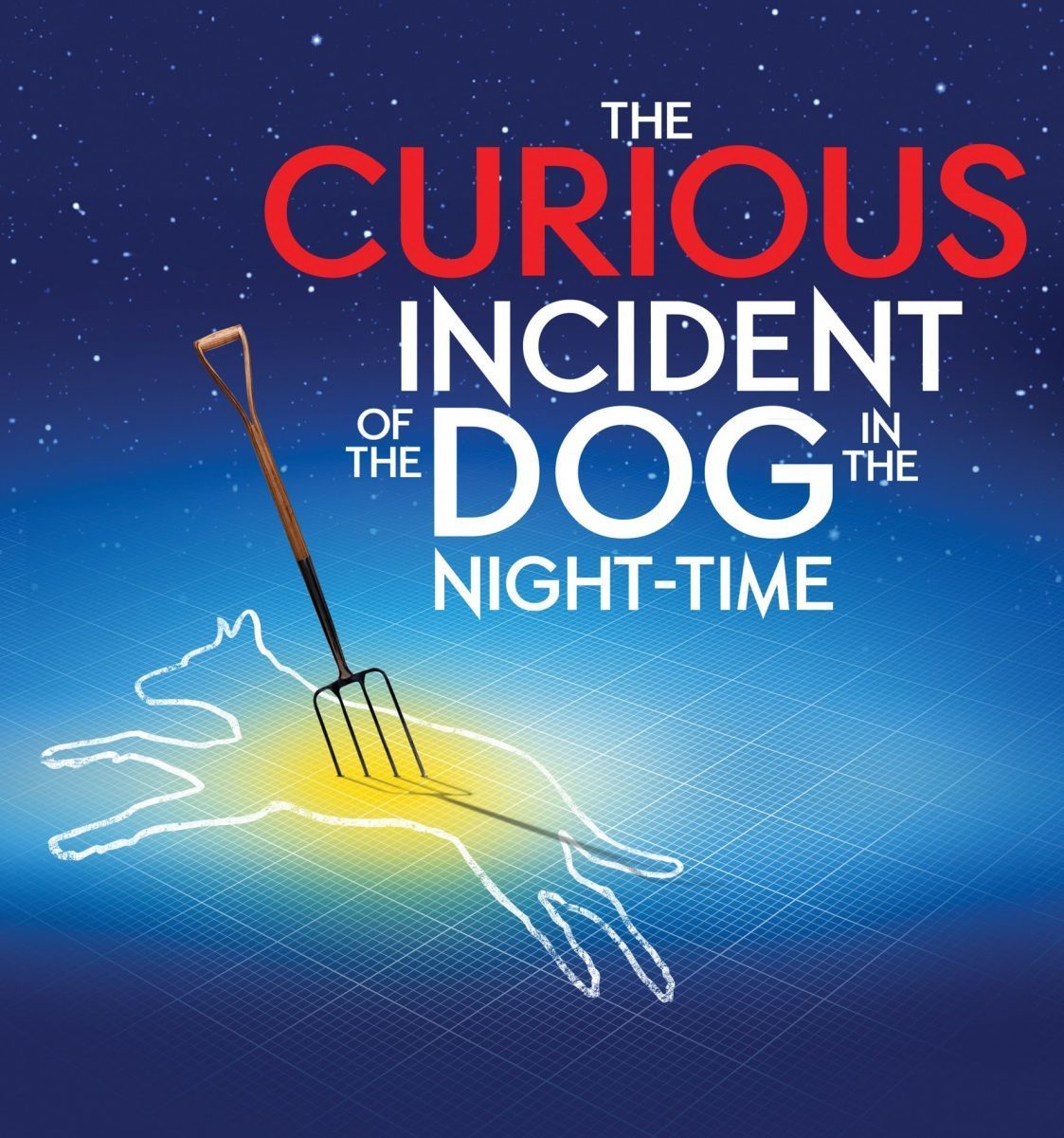 Feature: THE CURIOUS INCIDENT OF THE DOG IN THE NIGHT-TIME at SOME THEATRE COMPANY, ORONO Image