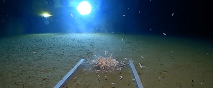 Discovery's Five Deeps Expedition Breaks Record On Dive To Bottom Of ...