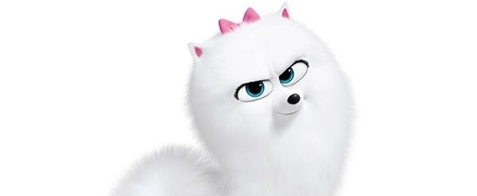 VIDEO: Watch THE SECRET LIFE OF PETS 2 Gidget Trailer Video