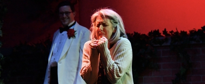 VIDEO: WOMAN IN MIND at Town Hall Theatre Video