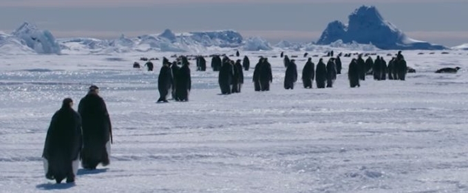 VIDEO: Sneak Peek - Hul Premieres Documentary MARCH OF THE PENGUINS 2 - March Of The Penguins 2 The Next Step