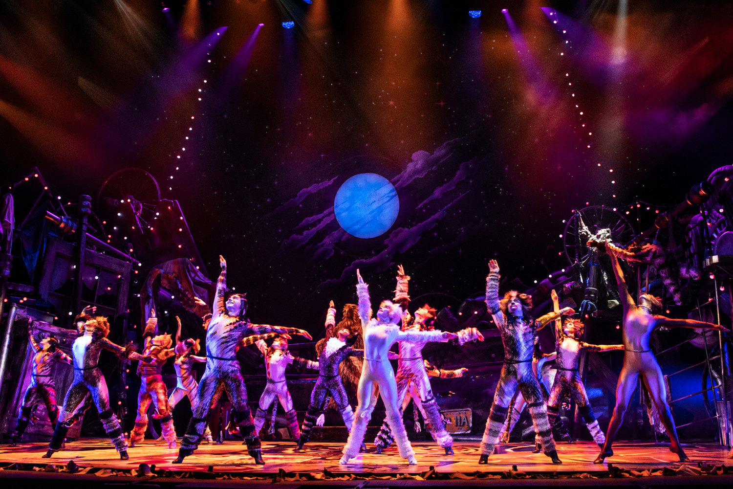 cats musical north american tour