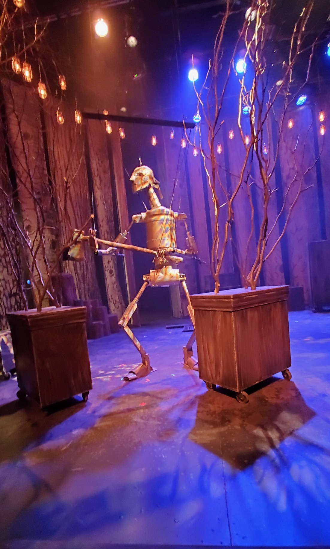 Review: THE WOODSMAN at Bluebarn Theatre Leaves Me Speechless Image