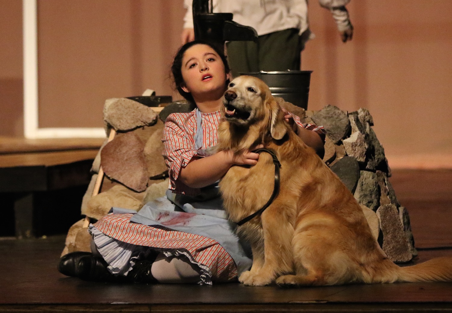 Review: THE MIRACLE WORKER at Moorhead High Theatre Image