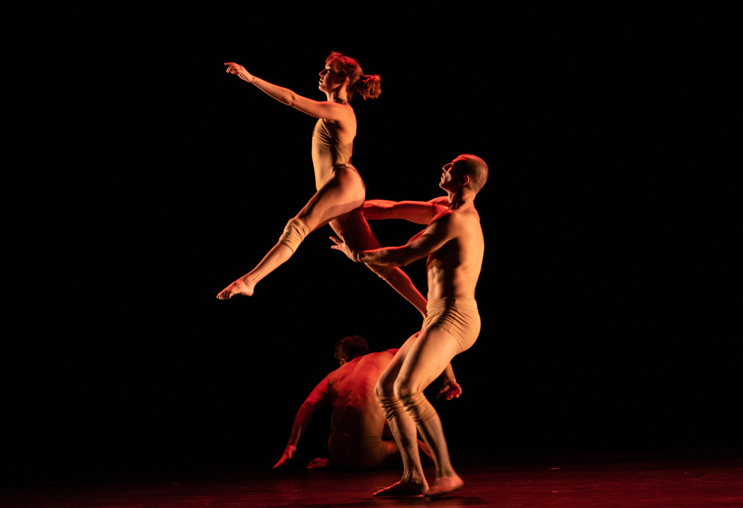 Review: New Life: PILOBOLUS: BRANCHES at Veterans Auditorium Image