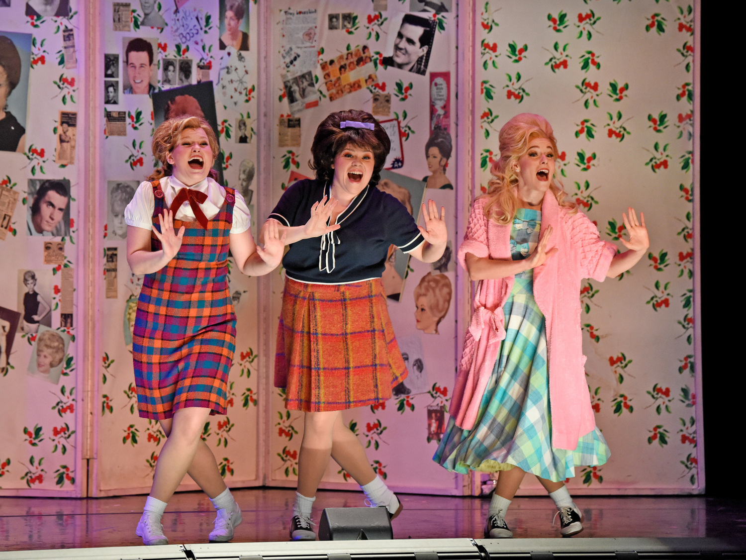 Review: HAIRSPRAY at Dallas Theater Center Image