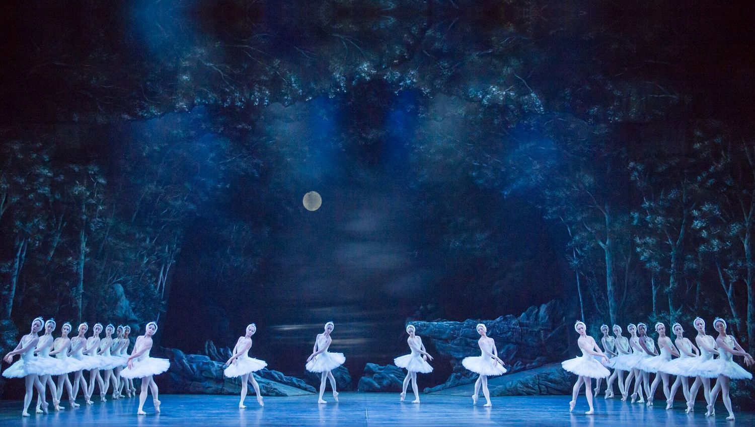 Review: SWAN LAKE, Bristol Hippodrome 