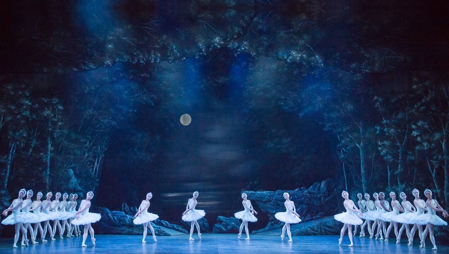 Review: SWAN LAKE, Bristol Hippodrome Image