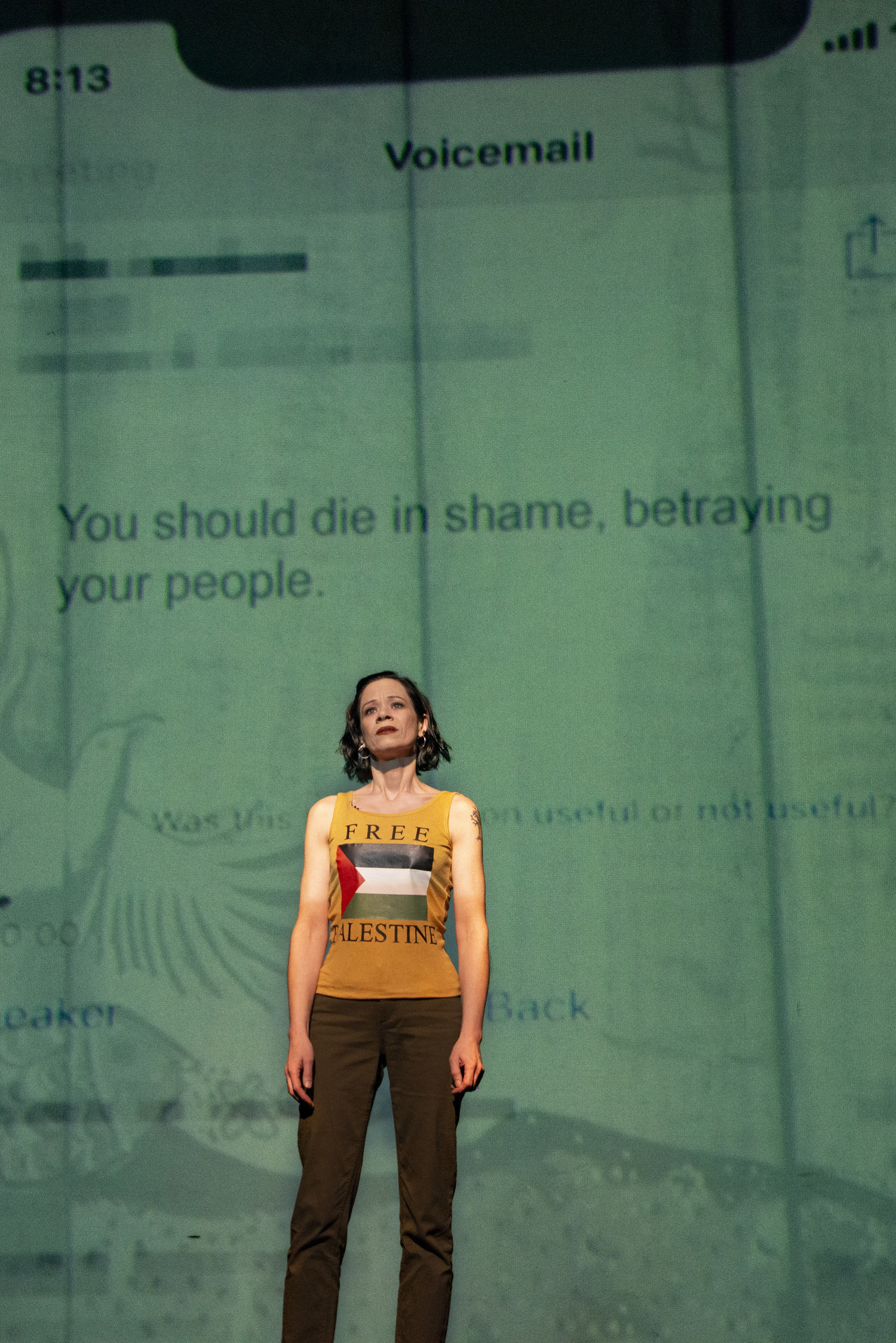 Review: SHAME 2.0 (WITH COMMENTS FROM THE POPULACE) at Mosaic Theater Company 