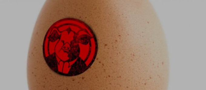 ANIMAL FARM Comes to Zorlu Performing Arts Center Today! Image
