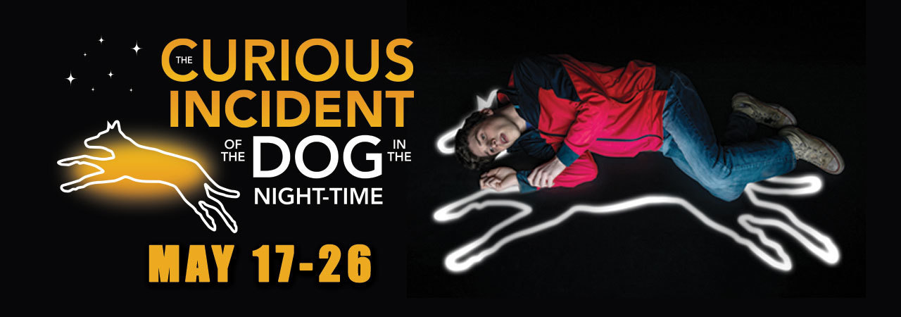 Review: THE CURIOUS INCIDENT OF THE DOG IN THE NIGHT-TIME at Theatre Tulsa Image