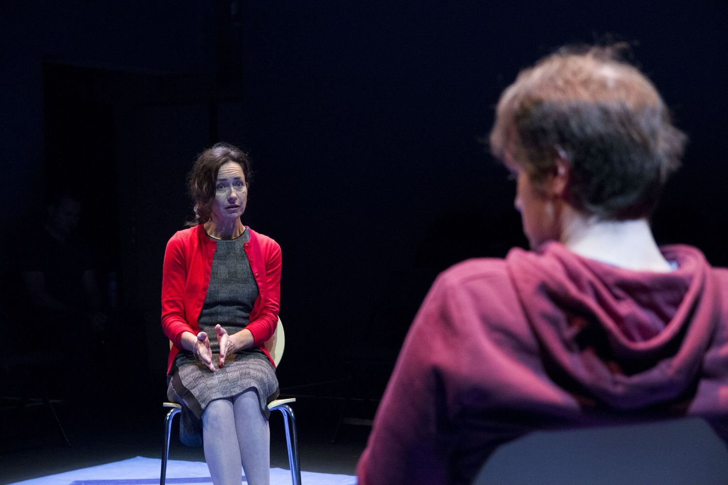Review: THE SECONDARY VICTIM, Park Theatre Image