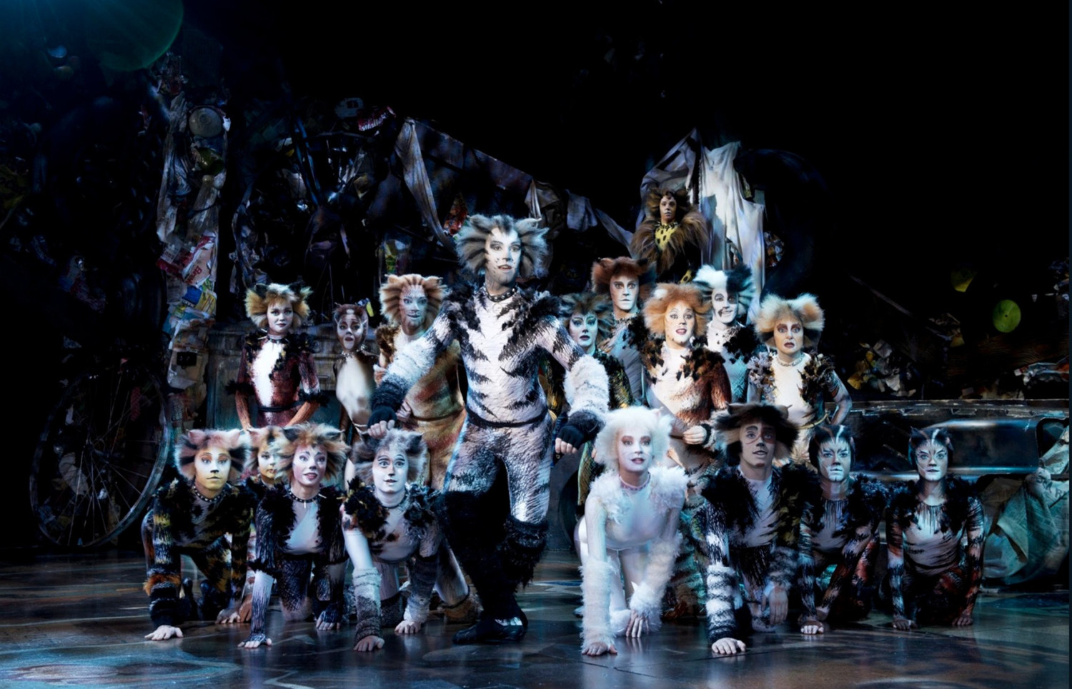 CATS to Play at Sands Theatre At Marina Bay Sands Winter 2019 