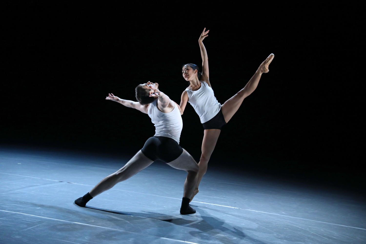 Review: NICOLE FONTE'S BEAUTIFUL DECAY at Wilma Theater Image
