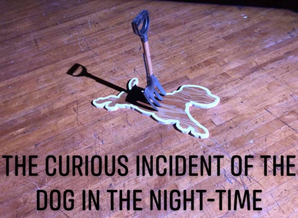 Review: THE CURIOUS INCIDENT OF THE DOG IN THE NIGHT-TIME at Wichita Community Theatre 