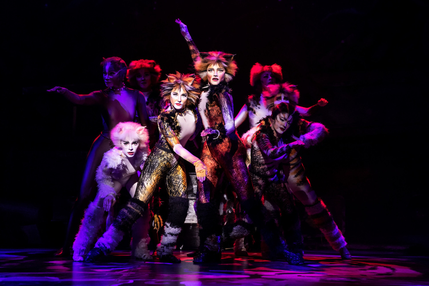 Review: CATS at Popejoy Hall Image