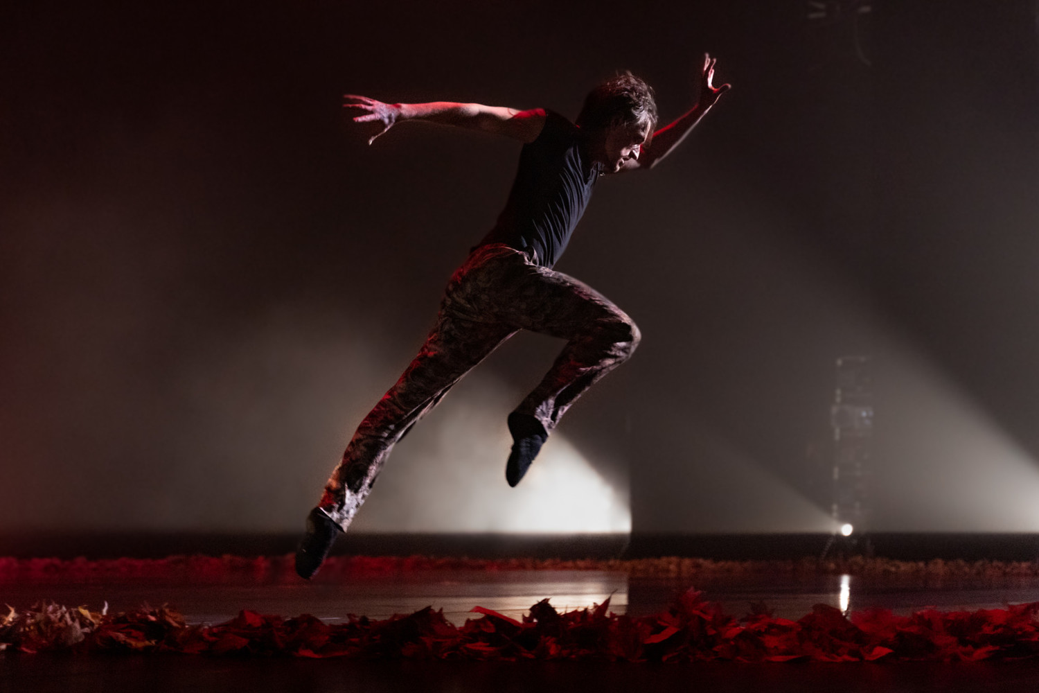 Review: SERGEI POLUNIN, London Palladium Image