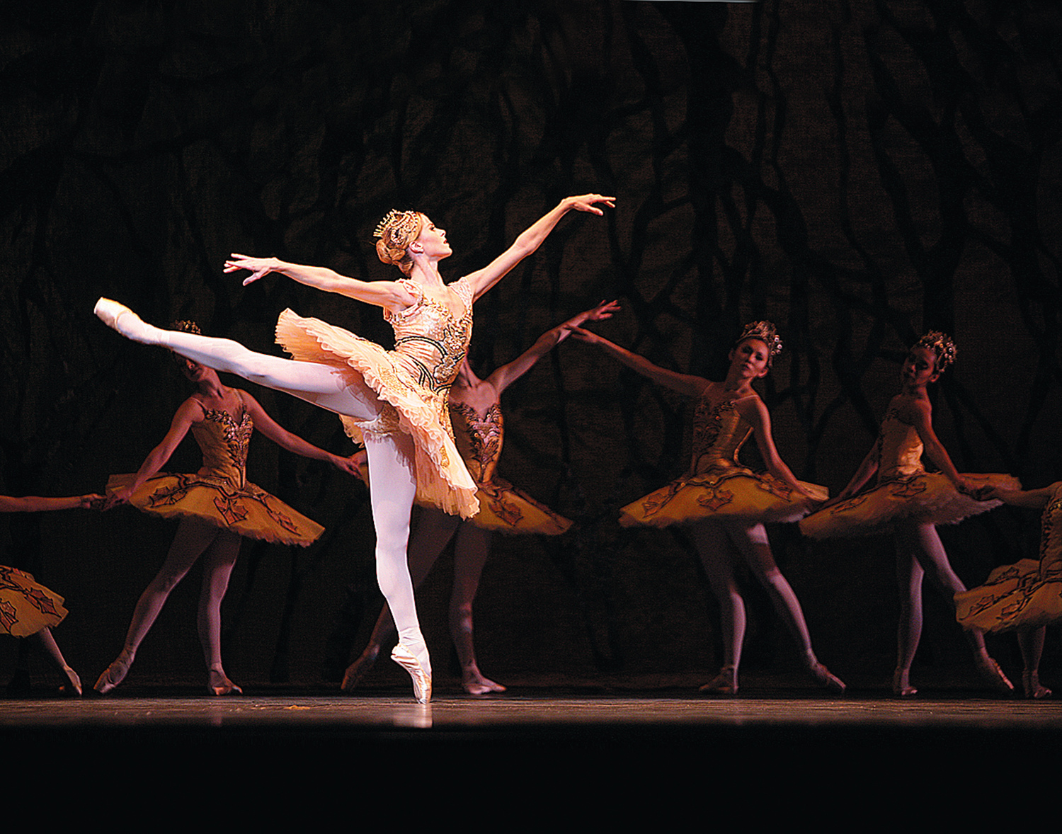 Review: National Ballet Delivers Grand Spectacle with THE SLEEPING BEAUTY Image